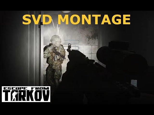 The SVD Punisher - Escape From Tarkov