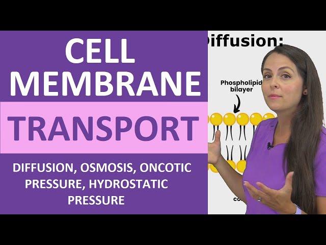 Cell Membrane Transport (Passive & Active) Diffusion, Osmosis, Hydrostatic Oncotic Pressure Colloid