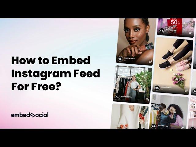 How to Embed Free Instagram Widget in 2023?