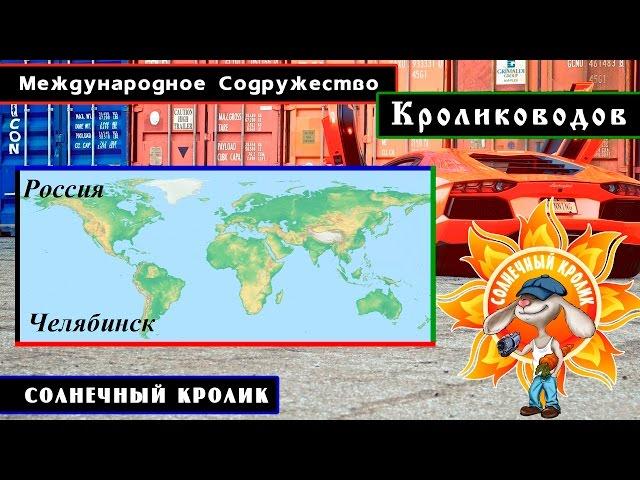 Кролики Челябинска (ЕвроФерма)