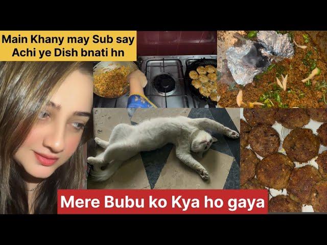 Mere Cat ki Ye Halat kesy hoi BuBu ko kya ho Gaya || Main Khany May Sub say Achi ye Dish bnati hn