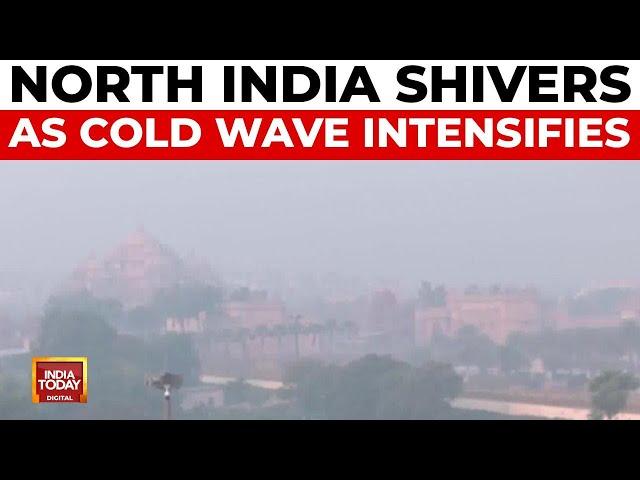 Cold Wave Grips North India: Delhi, NCR, Punjab, Haryana, UP Face Severe Conditions