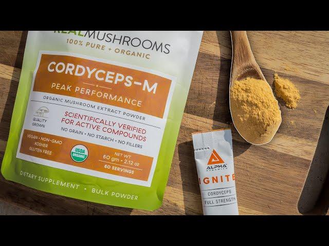 CORDYCEPS 101 | Everything You Need To Know