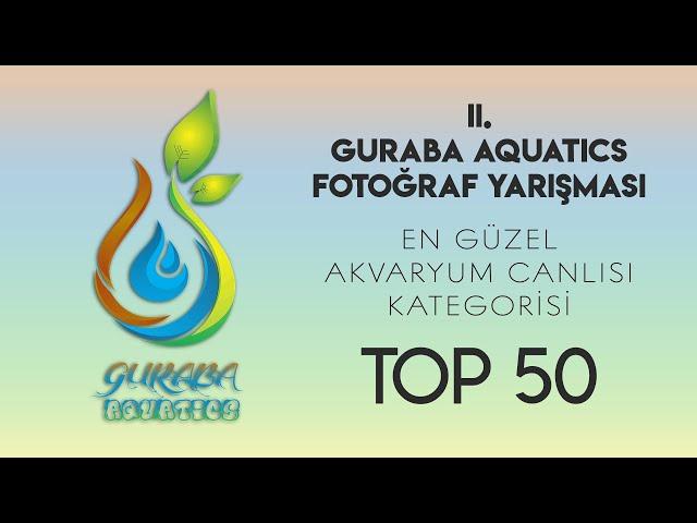 II. GA. ÖDÜLLÜ FOTOĞRAF YARIŞMASI | EN GÜZEL AKVARYUM CANLISI KATEGORİSİ - TOP 50! | EN İYİ 50KATILM