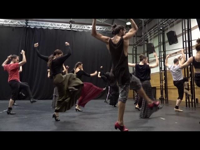 EDUARDO GUERRERO. Curso: Flamenco, técnica y coreografía. Ballet Nacional de España