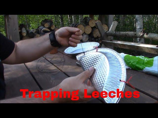 Trapping Leeches