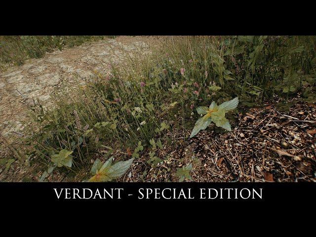 Skyrim SE Mods: Verdant - A Skyrim Grass Plugin