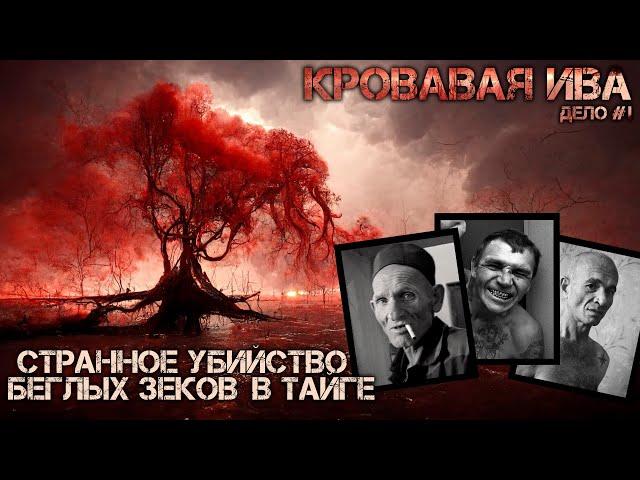 КАПИТАН ВОЛХОВ. ТРИЛЛЕР. УЖАСЫ. Глава 1. Страшные рассказы