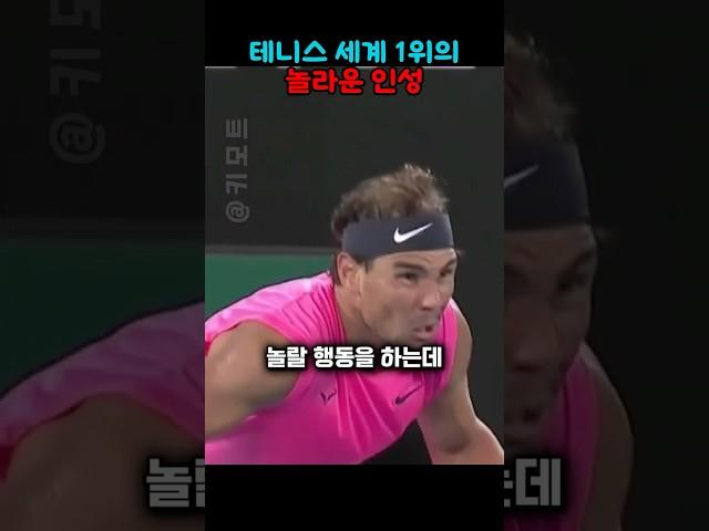 테니스 세계 1위의 품격