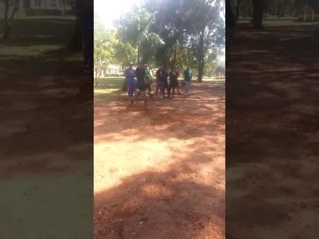 Flavio Cesar Tirado Infield Drills