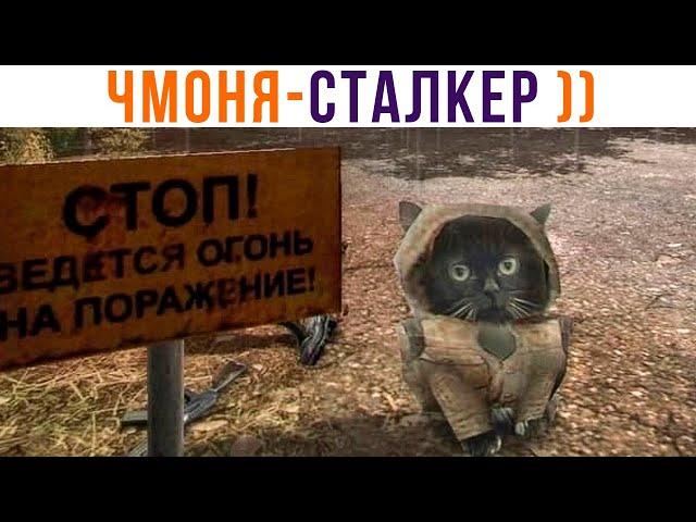  ЧМОНЯ ))) Игровые мемы | Мемозг 979