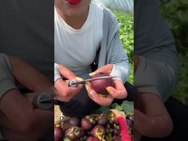 Beautiful Nature - Inspur Fresh Fruit wonderful video of Industry #7806