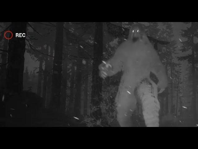 Finding BIGFOOT 2.0 UPDATE!! - Trapping Bigfoot!!