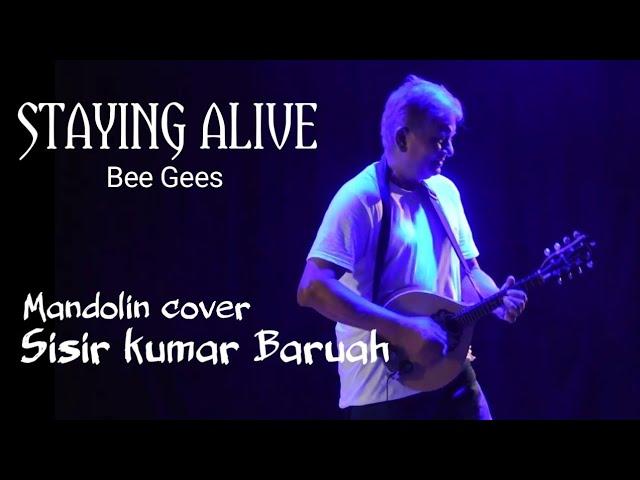 Staying Alive by BEE GEES  Mandolin Cover by SISIR KUMAR BARUAH.