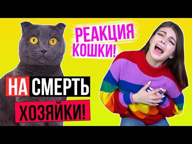 ЧТО ЕСЛИ УМЕРЕТЬ ПРИ КОШКЕ? | РЕАКЦИЯ КОШКИ | ПРАНК