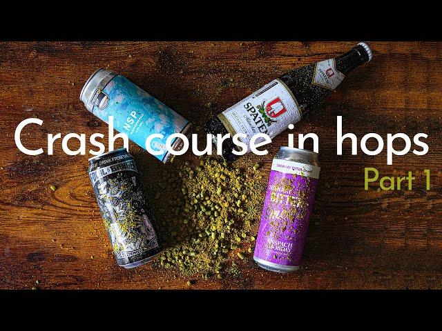 A crash course in HOPS part 1 (Europe)