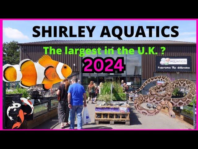 Inside the uk's largest aquatic store 2024