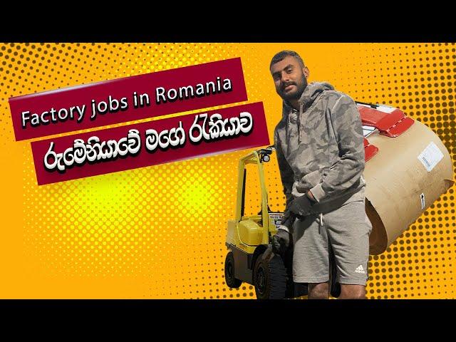 රුමේනියාවේ මගේ රැකියාව   |  factory jobs in Romania  #romania #srilanka