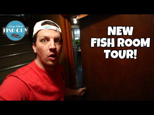 NEW FISH ROOM SETUP! | Unveiling the New House!