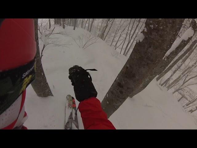 Tree skiing in Myoko, Japan