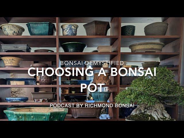 Finding the best bonsai pot  - Bonsai demystified for beginners