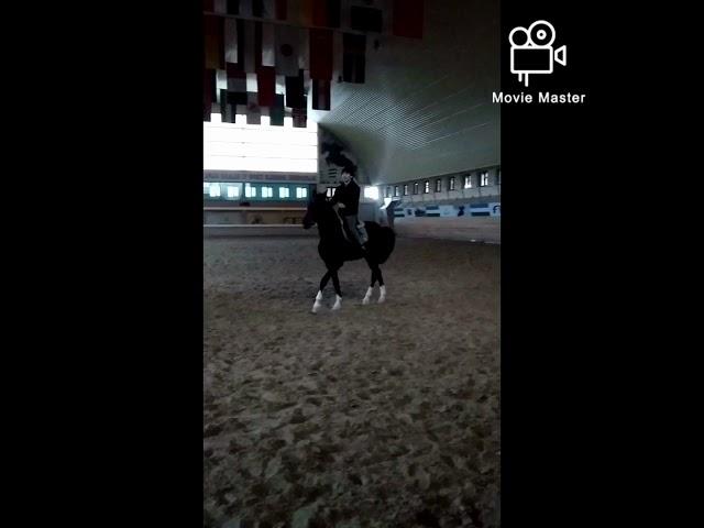 Amirxon070 VINE VIDEO KLIP UZBVIDEO ABUVINES QIZQARLI OTLAR #otlar #horse #horsespeed #ot #otminish