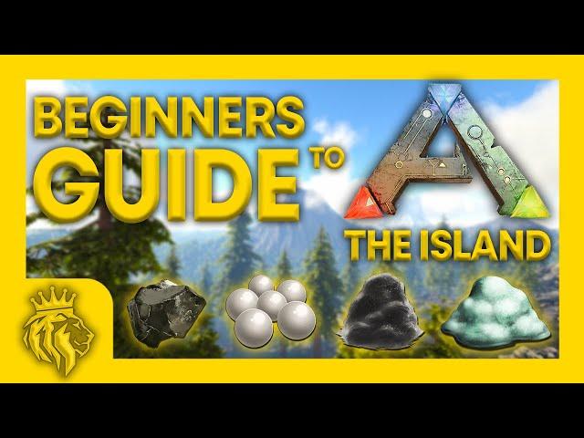 BEGINNERS GUIDE To The Island! | NOOB To PRO In 8 Mins! | ARK: Survival Evolved