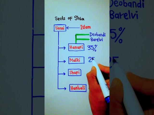 What are the 4 sects of Sunni Islam? | Sunni Sects || 5min Knowledge