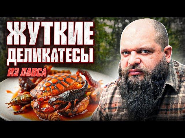 Дегустирую мерзкую еду - ТУХЛАЯ ЧЕРЕПАХА, ЛИЧИНКИ, СКОРПИОНЫ, ПЕЧЕНЬ СКАТА