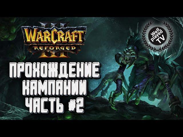 [СТРИМ] ПРОХОЖДЕНИЕ КАМПАНИИ: Путь проклятых : Warcraft 3 Reforged