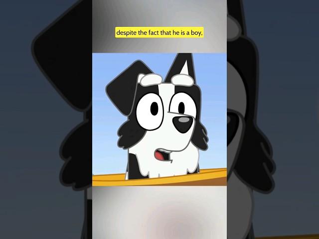 Is MACKENZIE A GIRL? Alfrely Toons #shorts #bluey