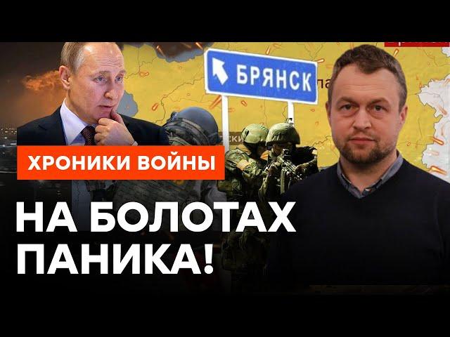 ДРГ в Брянской области — проникновение ВСУ или провокация ФСБ? | Самусь