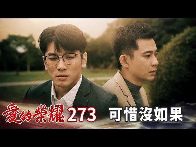 愛的榮耀 EP273 可惜沒如果｜Glory of Love