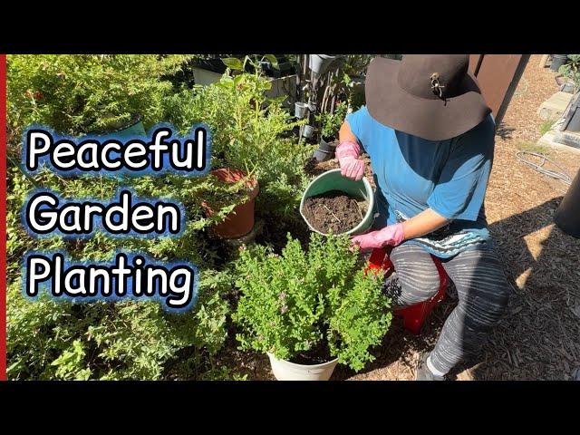 Garden Daily Routine Talking Money Saving Tips & Ideas on Planting & Container Gardening & Free Soil