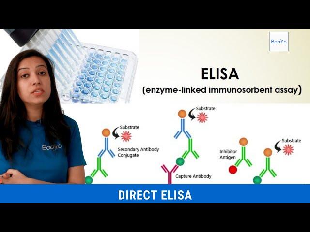 Direct ELISA | Basics Explained