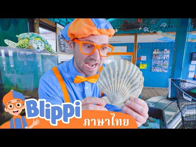 Blippi ไทย | รู้จักสัตว์ใต้น้ำไปกับบลิพปี้ | วิดีโอการเรียนรู้สำหรับเด็ก