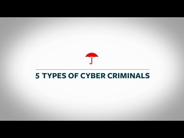 5 Types of Cyber Criminals