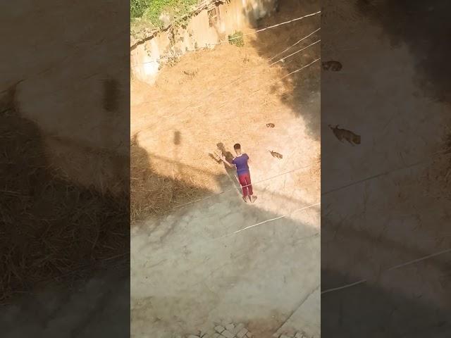 ️