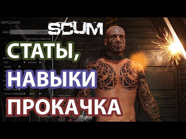 SCUM | 0.7 | ГАЙД ДЛЯ НОВИЧКОВ, НАВЫКИ, СТАТЫ И ПРОКАЧКА ПЕРСА В 2022 ГОДУ!