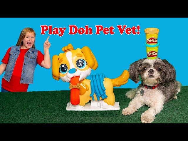 Assistant and Waggles are Play Doh Pet Vets In the Box Fort Tunnels