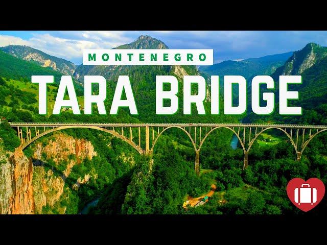 TARA BRIDGE | THE ĐURĐEVIĆA TARA BRIDGE MONTENEGRO 4K