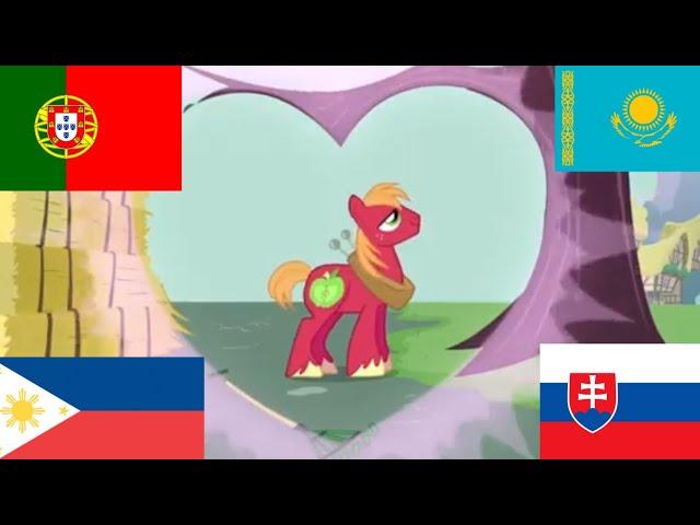 [Valentine's day] My little pony The perfect Stallion multilanguage in 16 languages