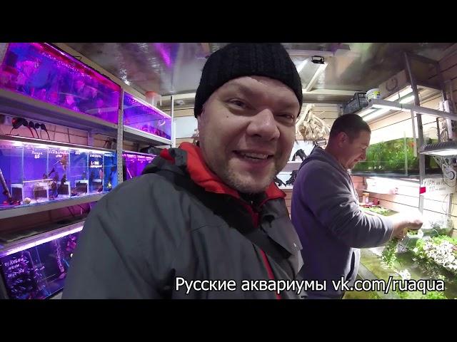 Птичий рынок 28.09.19