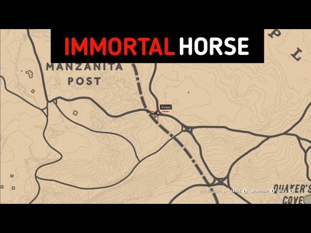 You'll Find This Horse Only Once In The Entire Game - RDR2