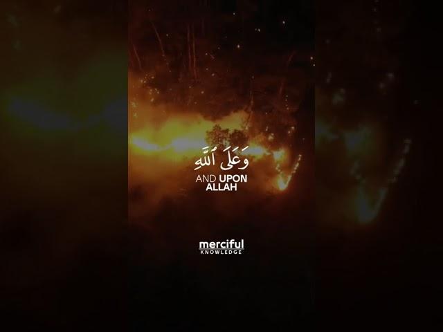 SURAH AT-TAWBAH VERSE 51 | MISHARY RASHID ALAFASY