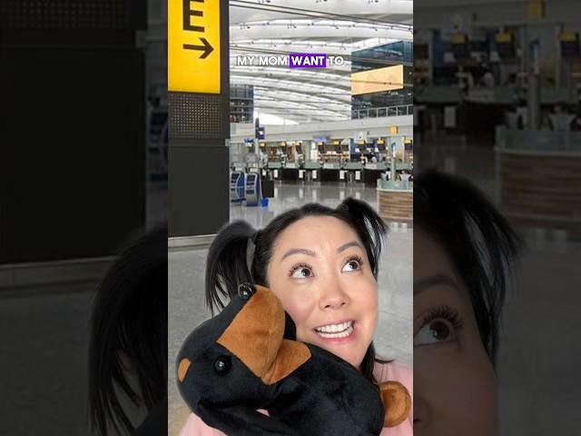 Kid's Translation Fail for Asian Mom at Airport Leads to Unexpected Surprise 
