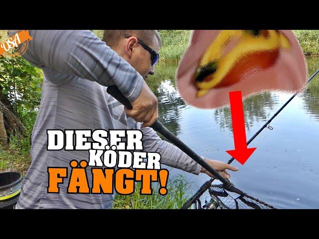 2 Angler & 1 Top Stelle! Fängt die linke oder rechte Uferseite besser? OSA in Mission Angeln