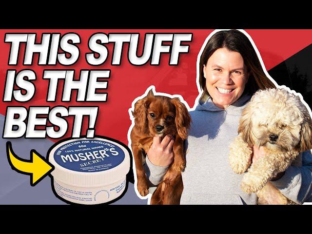 Best Dog Paw Care For Winter | Musher's Secret Review