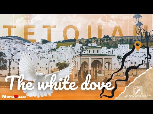 #Morocco │Discover Tetouan - The White Dove.