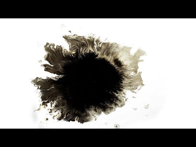 Realistic and Natural Ink Drop Reveal Matte Transition 40